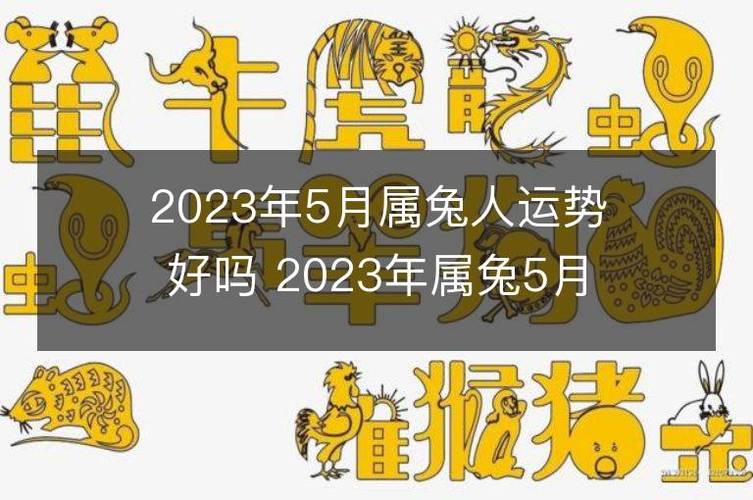 属兔人2023年5月整体运势在2023年的5月份,属兔人的整体运势一般,在