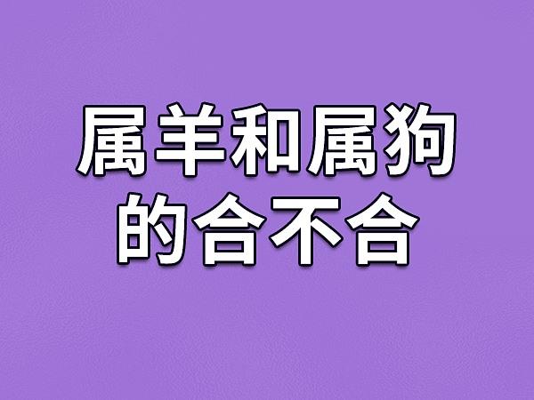 属羊和属狗的合不合