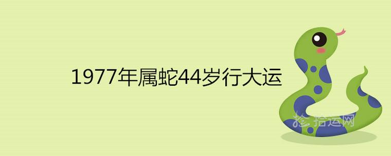 1977年属蛇44岁行大运是真的吗