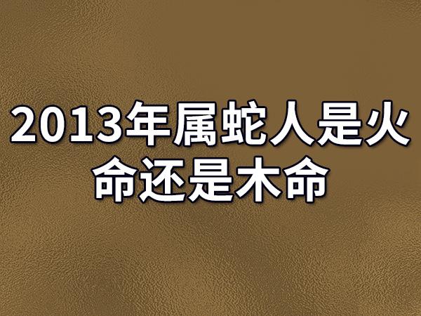 2023年属蛇人是火命还是木命