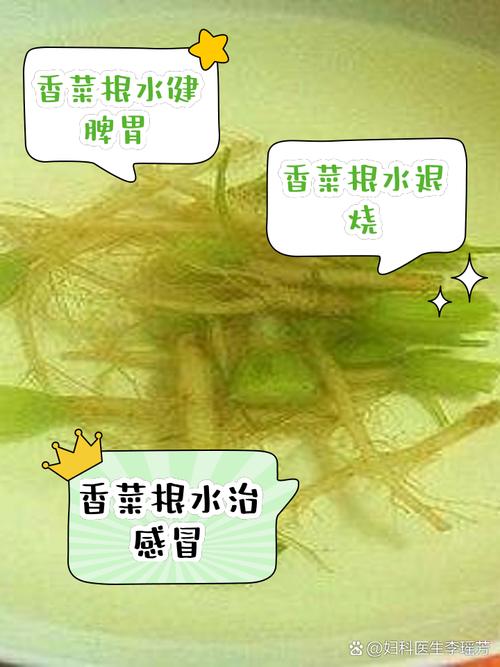 香菜根煮水喝有什么功效