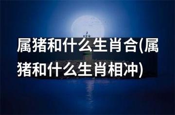 属猪跟什么相冲 马和什么属相冲