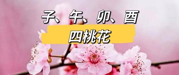 女命八字无官杀地支有桃花星解读华易(八字桃花星)