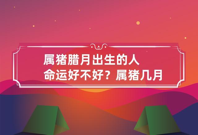 属猪人的性格和一生运势详细解析准到离谱生活事业的特点(属猪命运)