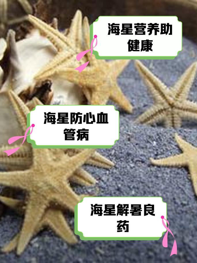 海星的功效与作用 海星泡酒有啥好处