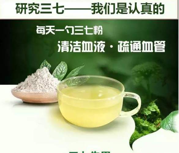 三七粉的功效和作用?适合长期食用吗?