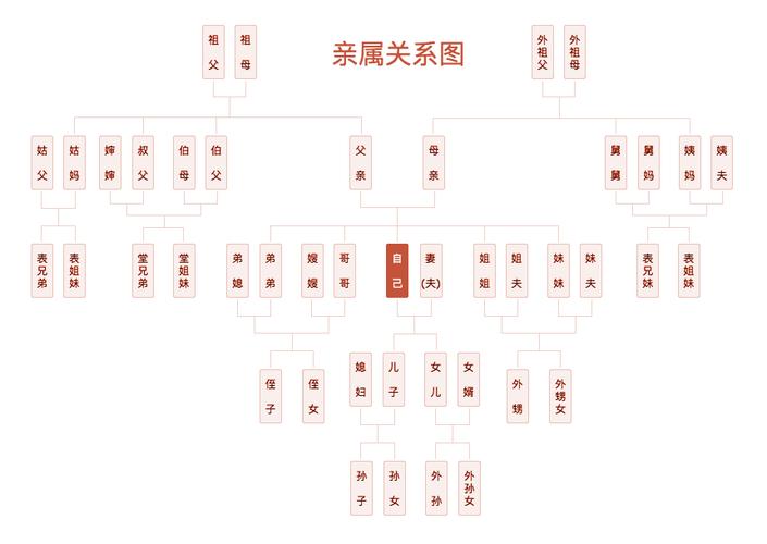 家庭称谓计算器中国家庭亲戚亲属关系称谓大全