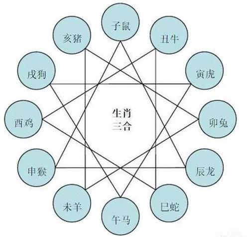 巳(蛇),申(猴)相合鸡和什么生肖相冲之鸡生肖相合表:3.相刑代表性格不