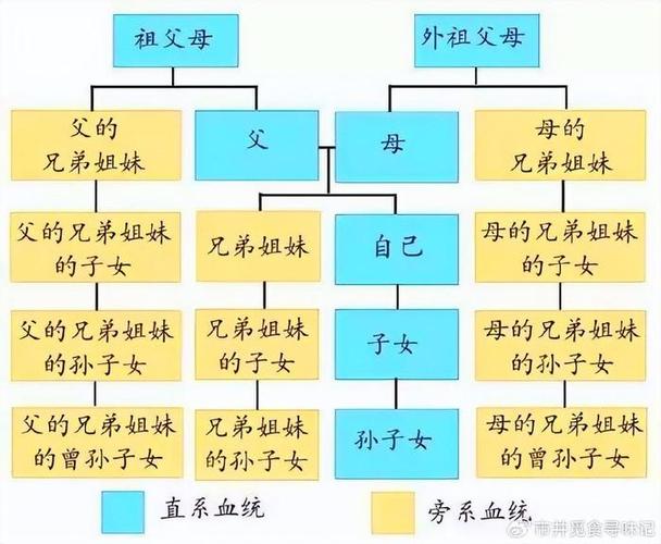 什么叫直系亲属(直系亲属关系一览表)