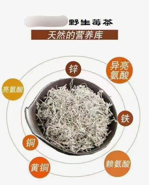 莓茶的作用和功效禁忌 降血压最好的茶类