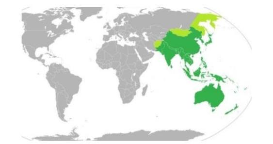 什么是亚太地区,亚太地区具体包含哪些国家?