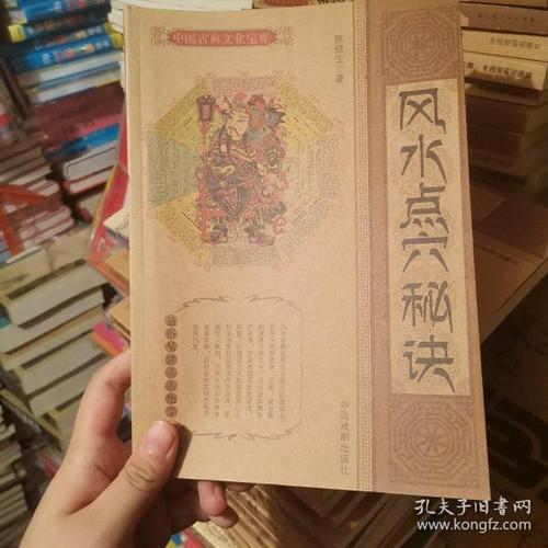 [风水点穴秘诀 图片说明] 图书价格_书籍图片_网购评论_孔夫子旧书网