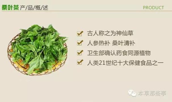 桑叶泡水的6大功效,特别是治疗糖尿病