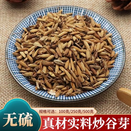 谷芽禾本科常用消食药功效与食用方法详解建议(谷芽的功效与作用)