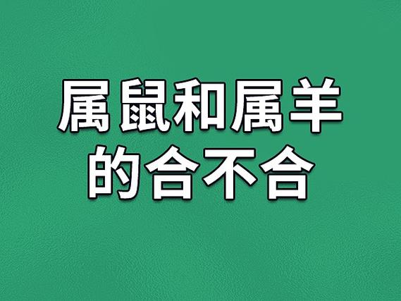 属鼠和属羊的合不合