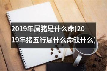 2023年属猪是什么命(2023年猪五行属什么命缺什么)