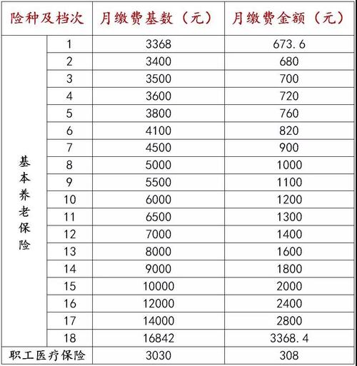 个人养老保险代缴 2023年养老保险基数