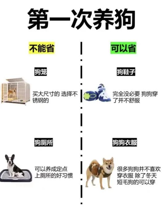 第一次养狗,能省和不能省!养狗的宝子们一定要看看我的这篇分 - 抖音