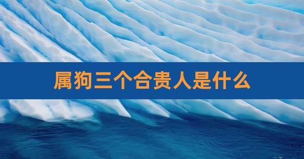 属狗的和属狗的 两个属狗的婚姻怎么样