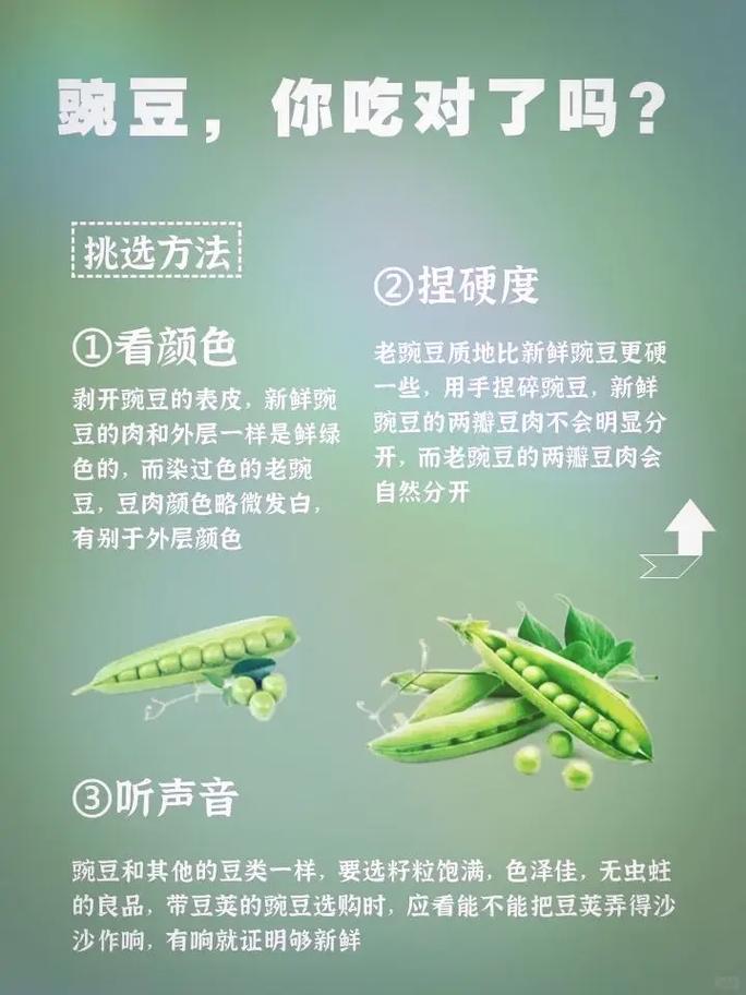 豌豆的功效与作用 豌豆的营养价值