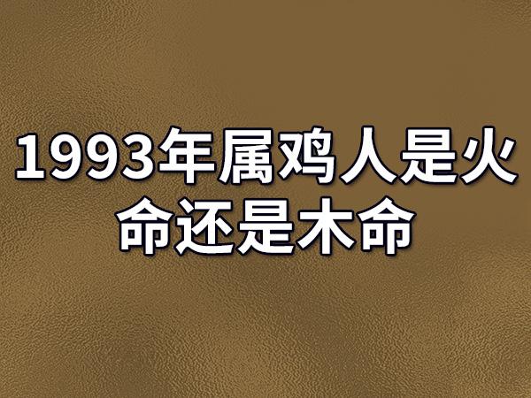 属鸡五行属什么命(81年属鸡的性格特点)