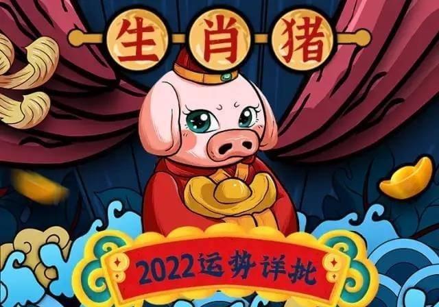 属猪的今年多大属猪人2023年全年运势及运程