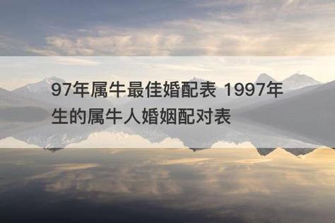 97年的牛男孩婚配表 97年属牛男和属鸡女