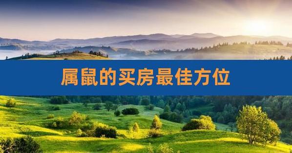 【属鼠的适合住几楼】一楼或地下室.跑得快.