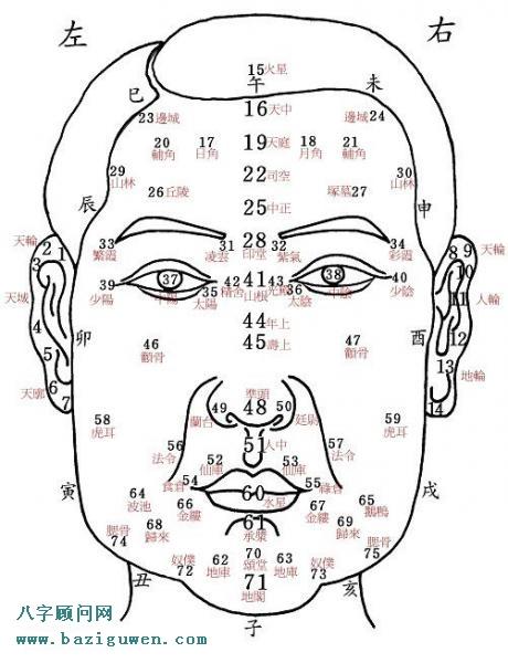 面相算命人面部百岁行运部位图