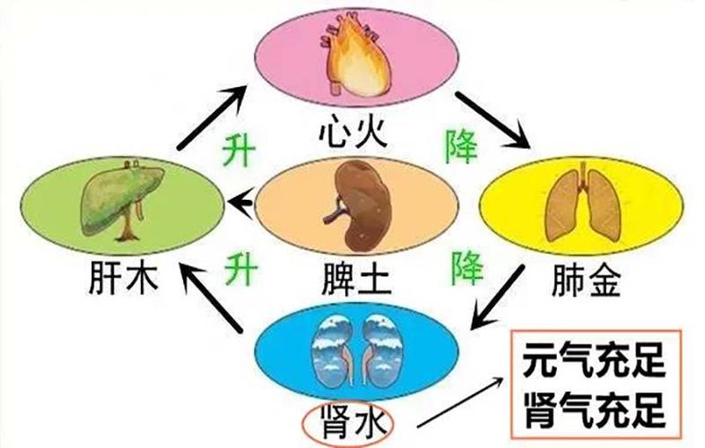 大白话说中医第一百七十三期|心肾不交失眠至,究其原因缺重视