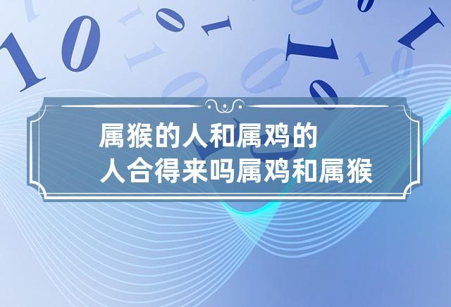 属猴的人和属鸡的人合得来吗 属鸡和属猴的合不