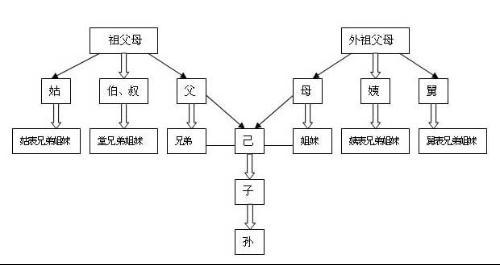 我想问一下近亲结婚的范围.