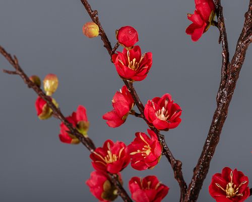 中式禅意腊梅干枝装饰仿真梅花枝会所家居摆放桃花假花直播道具