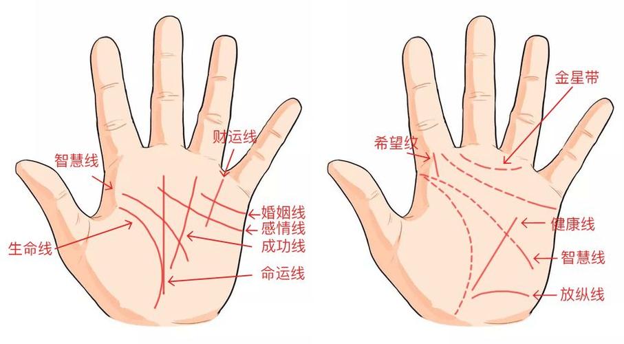 手相学大全学看手相图解八塔星座(让人看手相的忌讳)