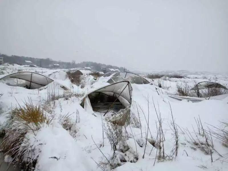 雪灾致湖南怀化市溆浦县卢峰镇蔬菜大棚倒塌