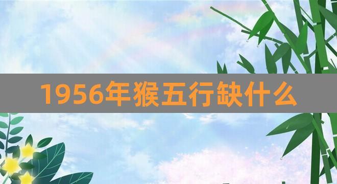 1956年猴五行缺什么(56年属猴的五行命是什么)