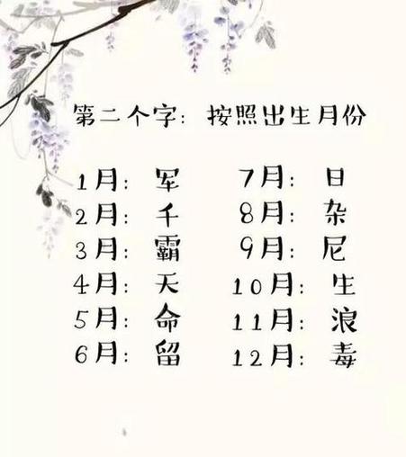 生辰八字算名字免费(好听稀少的女孩名字)-八字算命网