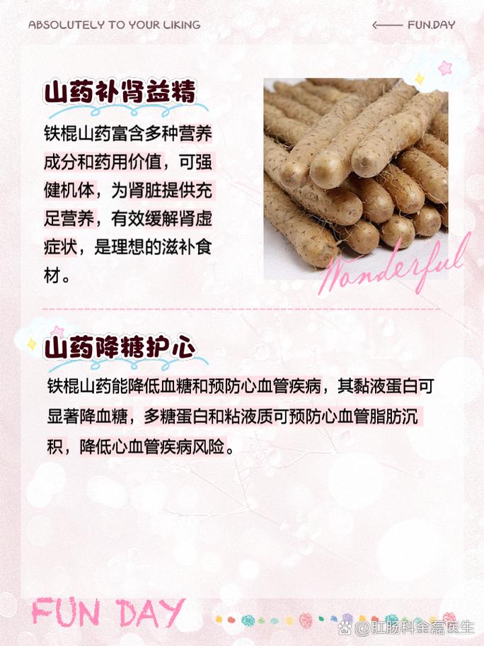 山药的功效与作用(吃山药有什么好处和功效呢)