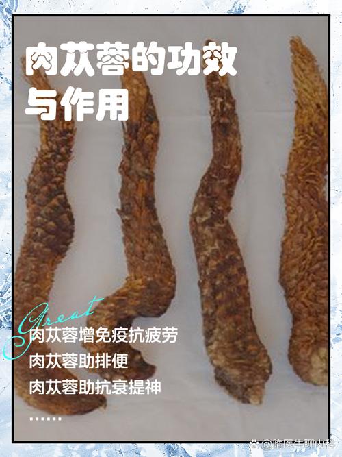 肉苁蓉的功效