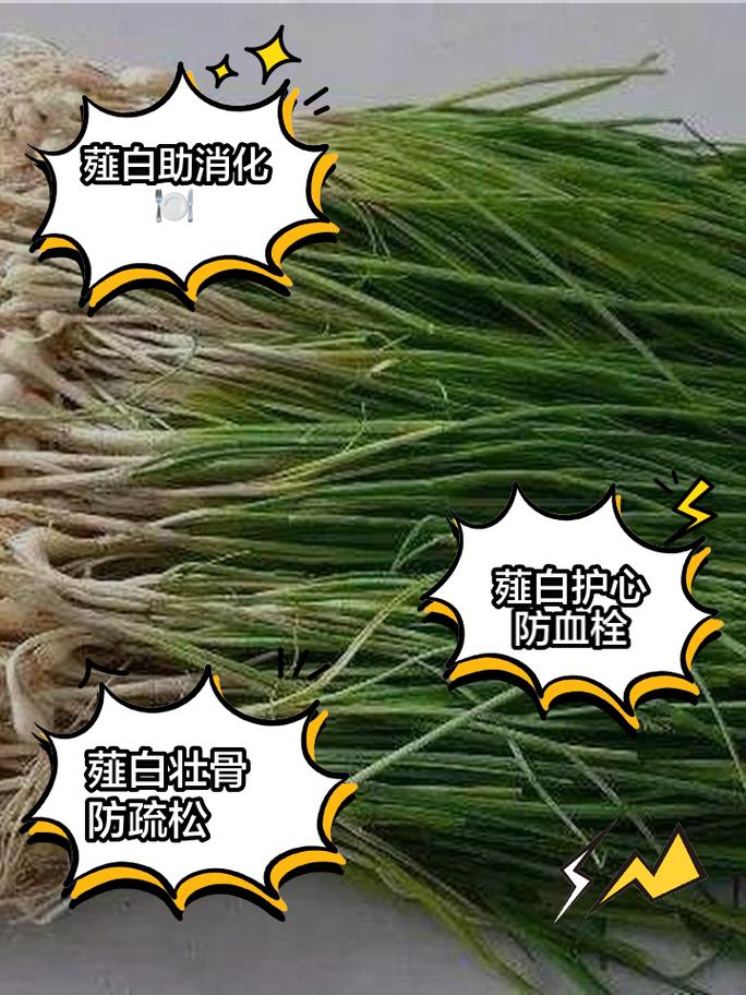 秋季养肺要多吃“白色食物”，听听中医怎么说润肺山药(薤白的功效与作用)