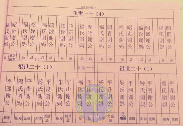 潮州南门→东港新村→陂洋镇洋口村据陆丰市联旺石材谢应想宗长表示