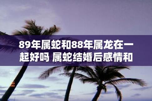 89年属蛇和88年属龙在一起好吗 属蛇结婚后感情和事业运势如何