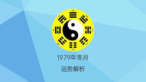 农历1979年冬月十五出生的人是什么命财运事业运势如何