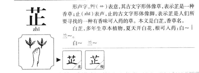 芷字五行属什么芷字取名有什么意义