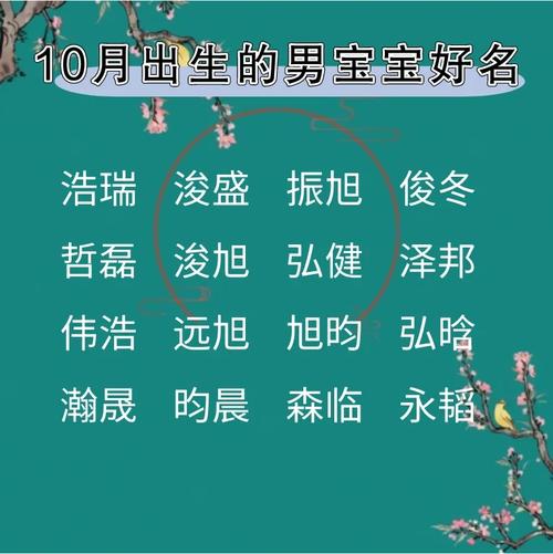 10月出生的虎宝宝男宝好名字