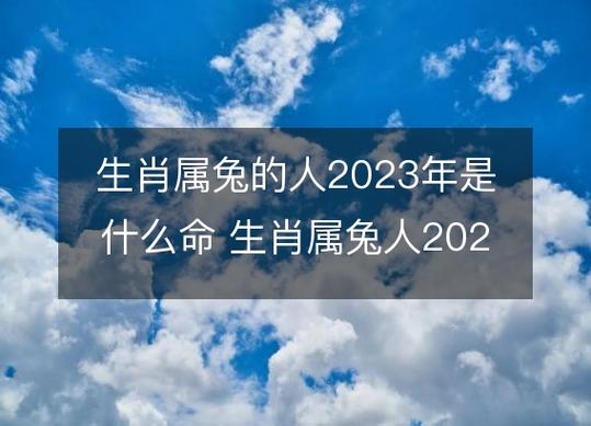 生肖属兔的人2023年是什么命 生肖属兔人2023年的命运