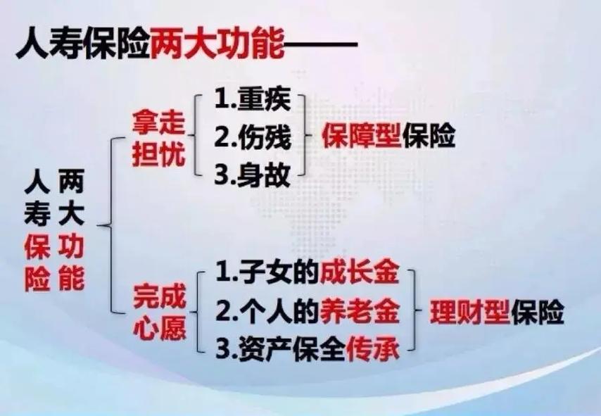 人寿保险怎么样 中国人寿保险的偿付能力情况