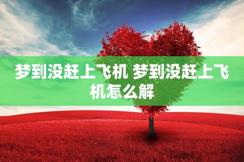 而如果有赶上飞机,表示千钧一发,被你抓到了机会2梦见坐飞机,说明你