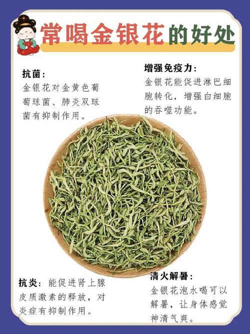 金银花可以喝吗，金银花和什么一起泡好呢，不懂不要乱喝(金银花的最佳搭配)