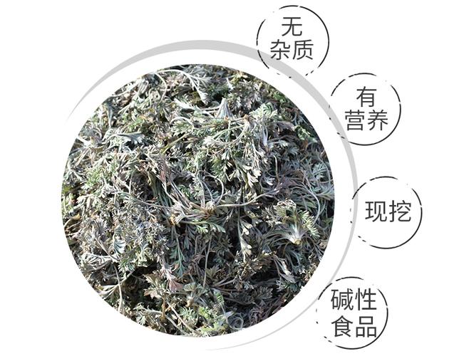 茵陈草有什么功效和作用 茵陈草泡水喝的功效